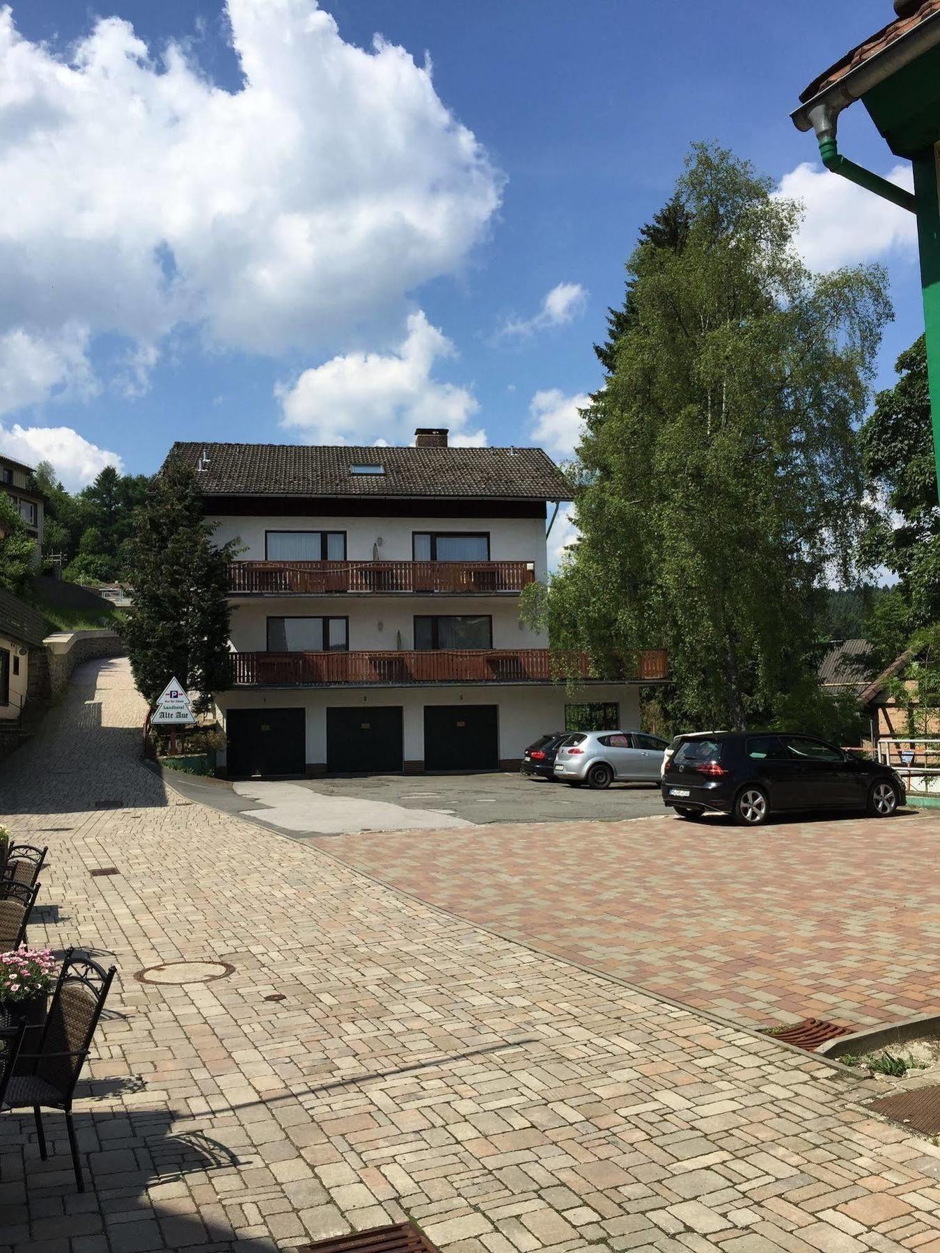 Landhotel Alte Aue Altenau  Buitenkant foto